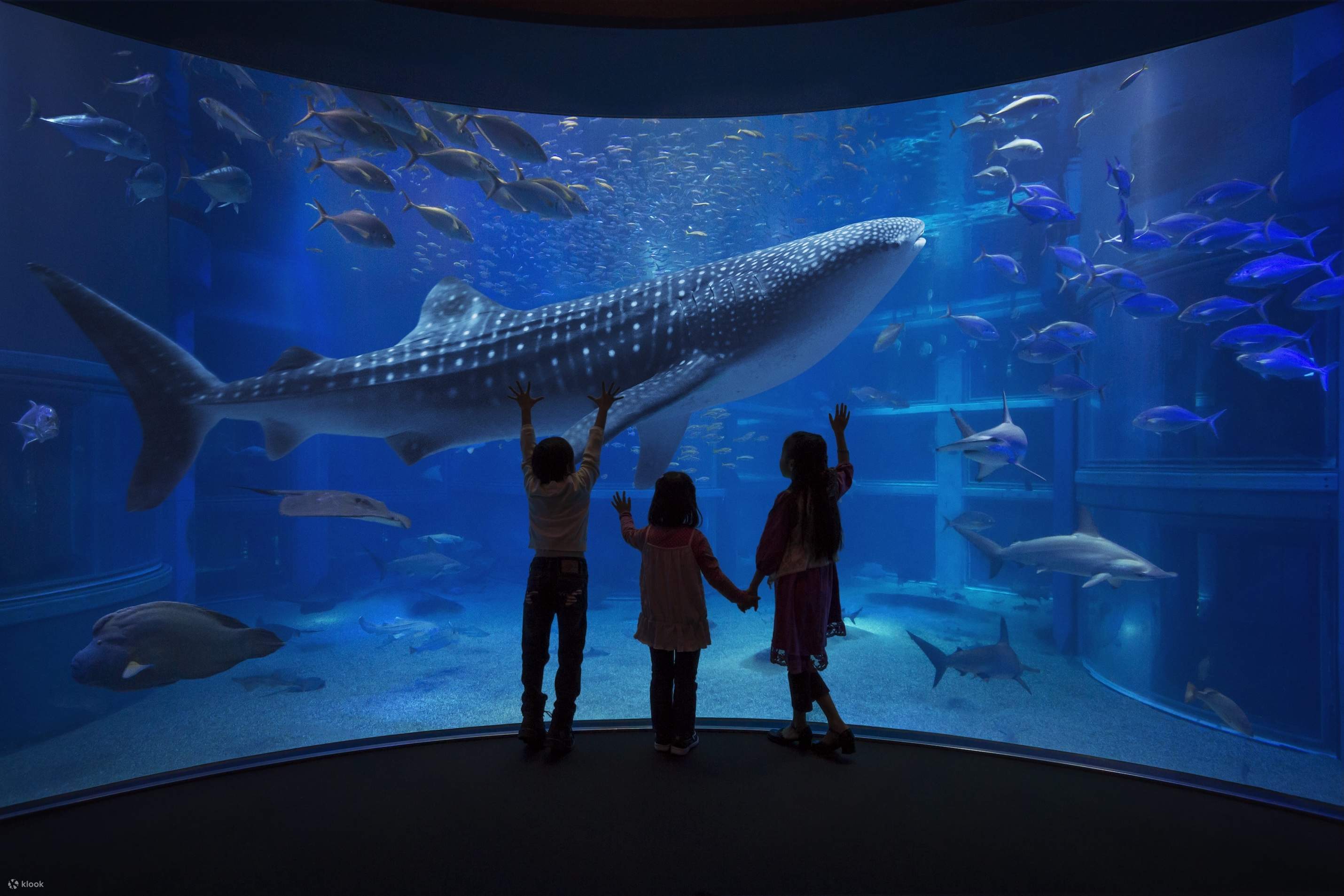 Tips for Planning a Family Trip to Japan