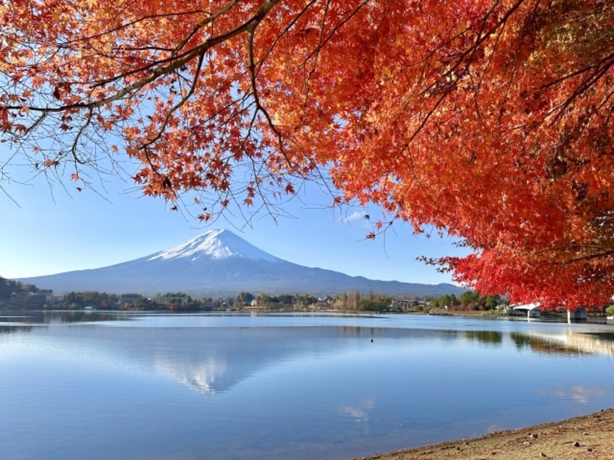 Autumn at Lake Kawaguchi: A Mesmerizing Season at the Foot of Mount Fuji
