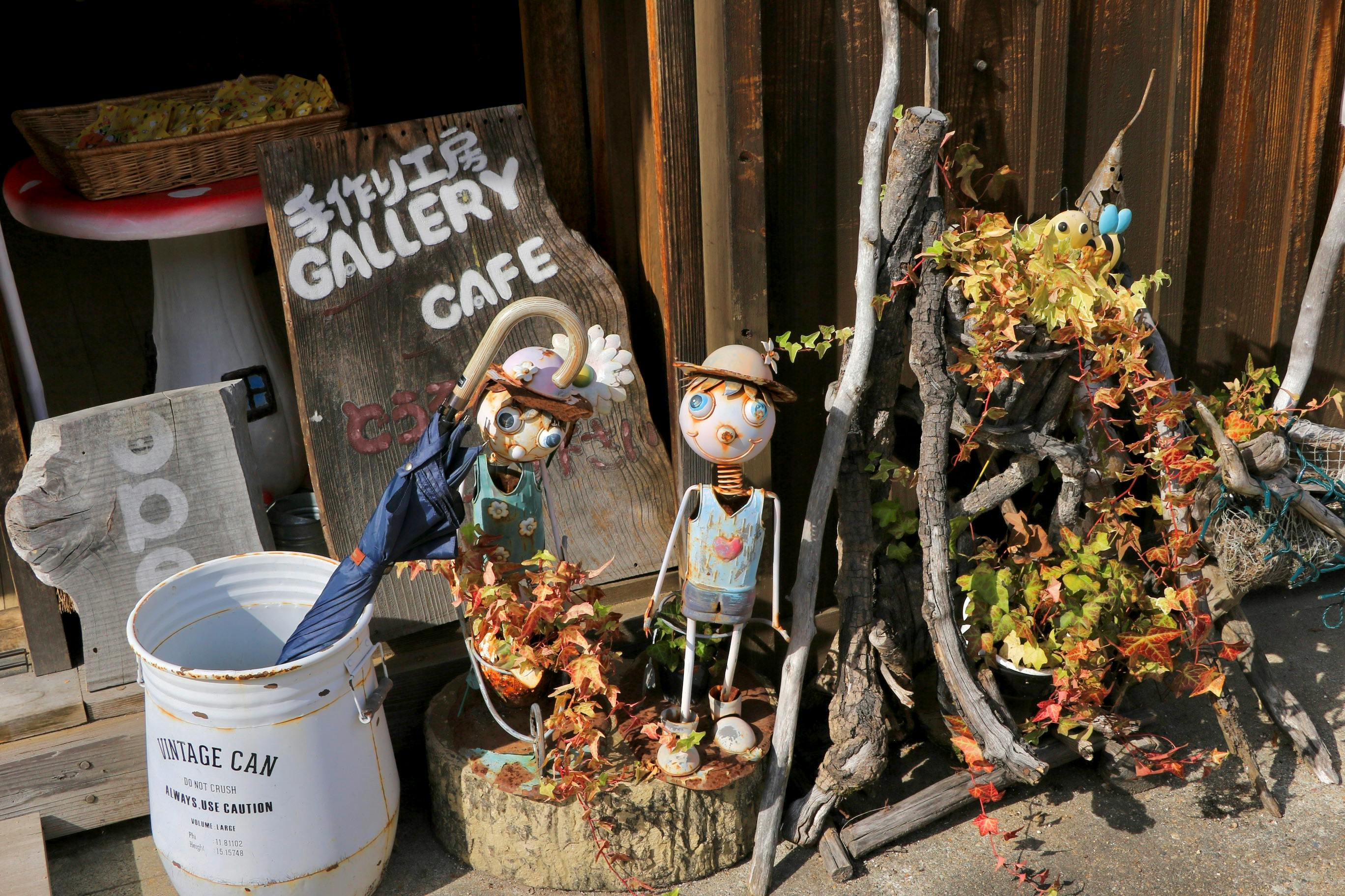 Japanese Unique Café Trends: From Cats and Owls to Robots – Experience It Yourself