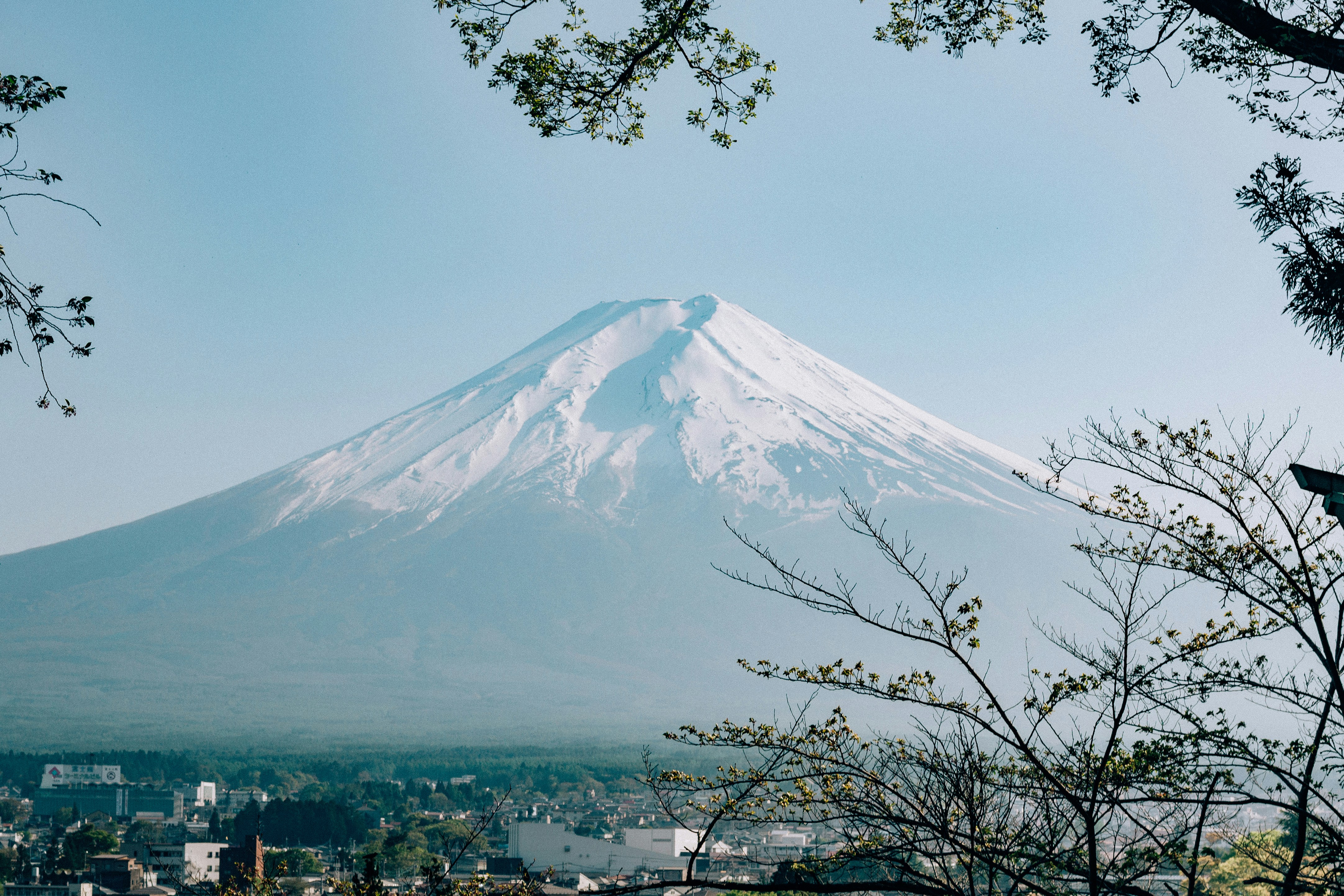 Exploring the Natural Beauty of Mount Fuji in Spring